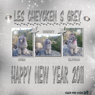 des Cheycken's Grey De Clea - Happy New Year 2011 !!!!!