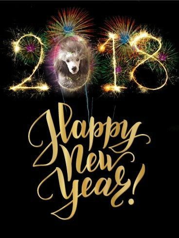 des Cheycken's Grey De Clea - Happy New Year 2018.....
