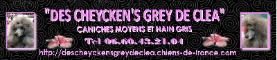 des Cheycken's Grey De Clea